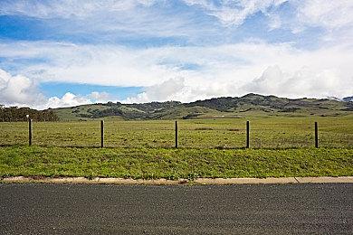 《幻兽帕鲁》发布新预告 各类新帕鲁亮相