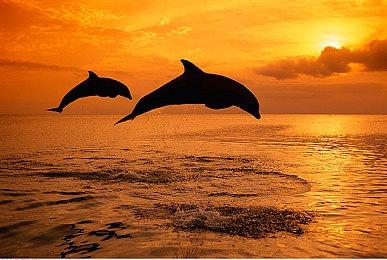 《赛博朋克2077》新MOD完善地铁系统 添加车厢内部